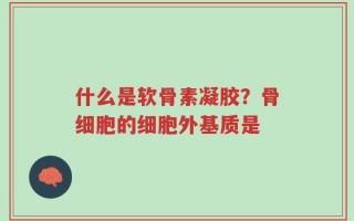 什么是软骨素凝胶？骨细胞的细胞外基质是