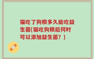 猫吃了狗粮多久能吃益生菌(猫吃狗粮后何时可以添加益生菌？)