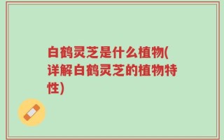 白鹤灵芝是什么植物(详解白鹤灵芝的植物特性)