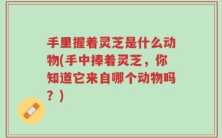 手里握着灵芝是什么动物(手中捧着灵芝，你知道它来自哪个动物吗？)