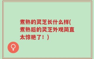 煮熟的灵芝长什么样(煮熟后的灵芝外观简直太惊艳了！)
