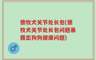 德牧犬关节处长包(德牧犬关节处长包问题暴露出狗狗健康问题)