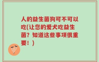 人的益生菌狗可不可以吃(让您的爱犬吃益生菌？知道这些事项很重要！)