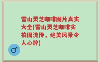 雪山灵芝咖啡图片真实大全(雪山灵芝咖啡实拍图流传，绝美风景令人心醉)