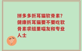 拼多多折耳猫软骨素？健康折耳猫要不要吃软骨素求组里喵友和专业人士