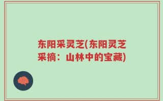 东阳采灵芝(东阳灵芝采摘：山林中的宝藏)