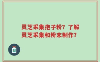 灵芝采集孢子粉？了解灵芝采集和粉末制作？