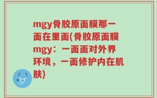 mgy骨胶原面膜那一面在里面(骨胶原面膜mgy：一面面对外界环境，一面修护内在肌肤)