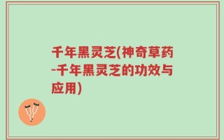 千年黑灵芝(神奇草药-千年黑灵芝的功效与应用)