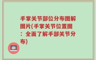 手掌关节部位分布图解图片(手掌关节位置图：全面了解手部关节分布)