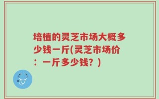 培植的灵芝市场大概多少钱一斤(灵芝市场价：一斤多少钱？)