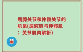 屈膝关节和伸髋关节的肌是(屈髋肌与伸髋肌：关节肌肉解析)