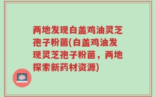 两地发现白盖鸡油灵芝孢子粉菌(白盖鸡油发现灵芝孢子粉菌，两地探索新药材资源)