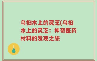 乌桕木上的灵芝(乌桕木上的灵芝：神奇医药材料的发现之旅