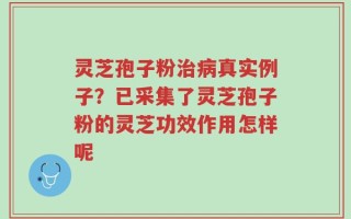 灵芝孢子粉治病真实例子？已采集了灵芝孢子粉的灵芝功效作用怎样呢