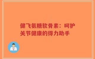健飞氨糖软骨素：呵护关节健康的得力助手