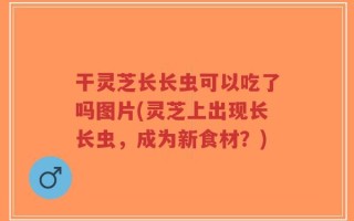 干灵芝长长虫可以吃了吗图片(灵芝上出现长长虫，成为新食材？)
