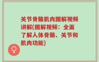 关节骨骼肌肉图解视频讲解(图解视频：全面了解人体骨骼、关节和肌肉功能)