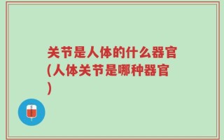关节是人体的什么器官(人体关节是哪种器官)