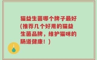 猫益生菌哪个牌子最好(推荐几个好用的猫益生菌品牌，维护猫咪的肠道健康！)