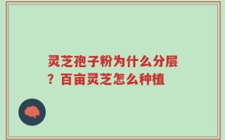 灵芝孢子粉为什么分层？百亩灵芝怎么种植
