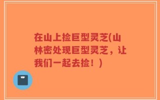 在山上捡巨型灵芝(山林密处现巨型灵芝，让我们一起去捡！)