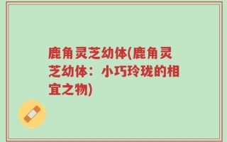 鹿角灵芝幼体(鹿角灵芝幼体：小巧玲珑的相宜之物)