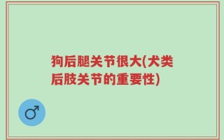 狗后腿关节很大(犬类后肢关节的重要性)