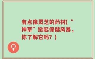 有点像灵芝的药材(“神草”掀起保健风暴，你了解它吗？)