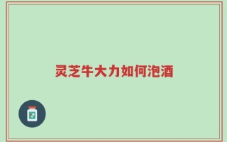灵芝牛大力如何泡酒
