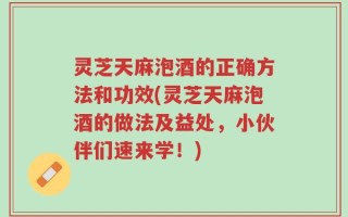 灵芝天麻泡酒的正确方法和功效(灵芝天麻泡酒的做法及益处，小伙伴们速来学！)