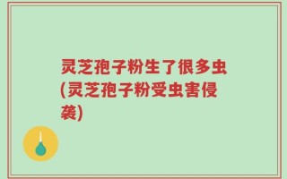 灵芝孢子粉生了很多虫(灵芝孢子粉受虫害侵袭)