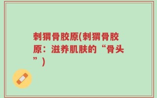 刺猬骨胶原(刺猬骨胶原：滋养肌肤的“骨头”)