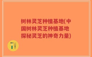 树林灵芝种植基地(中国树林灵芝种植基地 探秘灵芝的神奇力量)