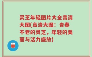 灵芝年轻图片大全高清大图(高清大图：青春不老的灵芝，年轻的美丽与活力盛放)