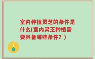 室内种植灵芝的条件是什么(室内灵芝种植需要具备哪些条件？)