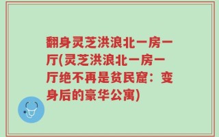 翻身灵芝洪浪北一房一厅(灵芝洪浪北一房一厅绝不再是贫民窟：变身后的豪华公寓)