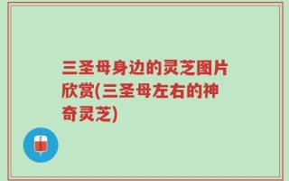 三圣母身边的灵芝图片欣赏(三圣母左右的神奇灵芝)
