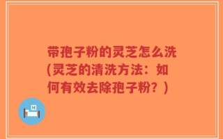带孢子粉的灵芝怎么洗(灵芝的清洗方法：如何有效去除孢子粉？)