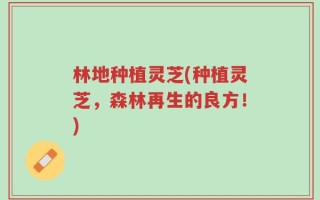 林地种植灵芝(种植灵芝，森林再生的良方！)