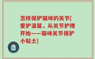 怎样保护猫咪的关节(爱护温馨，从关节护理开始——猫咪关节保护小贴士)