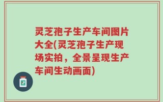 灵芝孢子生产车间图片大全(灵芝孢子生产现场实拍，全景呈现生产车间生动画面)