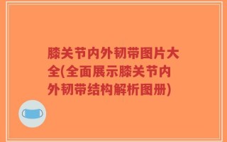 膝关节内外韧带图片大全(全面展示膝关节内外韧带结构解析图册)