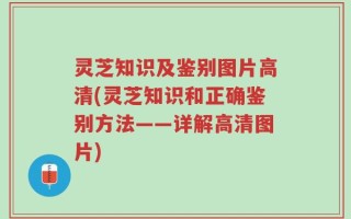 灵芝知识及鉴别图片高清(灵芝知识和正确鉴别方法——详解高清图片)