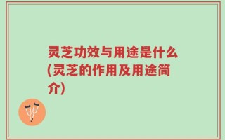 灵芝功效与用途是什么(灵芝的作用及用途简介)
