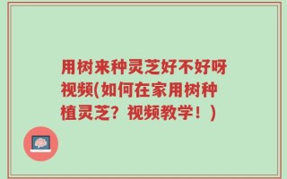 用树来种灵芝好不好呀视频(如何在家用树种植灵芝？视频教学！)