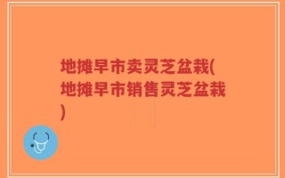 地摊早市卖灵芝盆栽(地摊早市销售灵芝盆栽)
