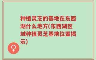 种植灵芝的基地在东西湖什么地方(东西湖区域种植灵芝基地位置揭示)