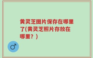 黄灵芝图片保存在哪里了(黄灵芝照片存放在哪里？)