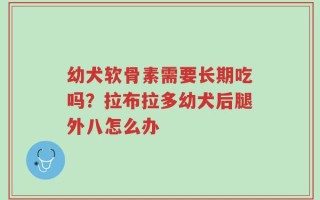 幼犬软骨素需要长期吃吗？拉布拉多幼犬后腿外八怎么办